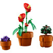 Les plantes miniatures - LEGO Icons